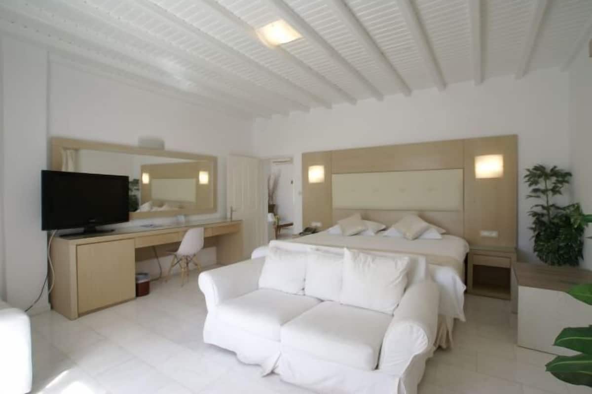 Sábanas de algodón egipcio, ropa de cama de alta calidad y edredón