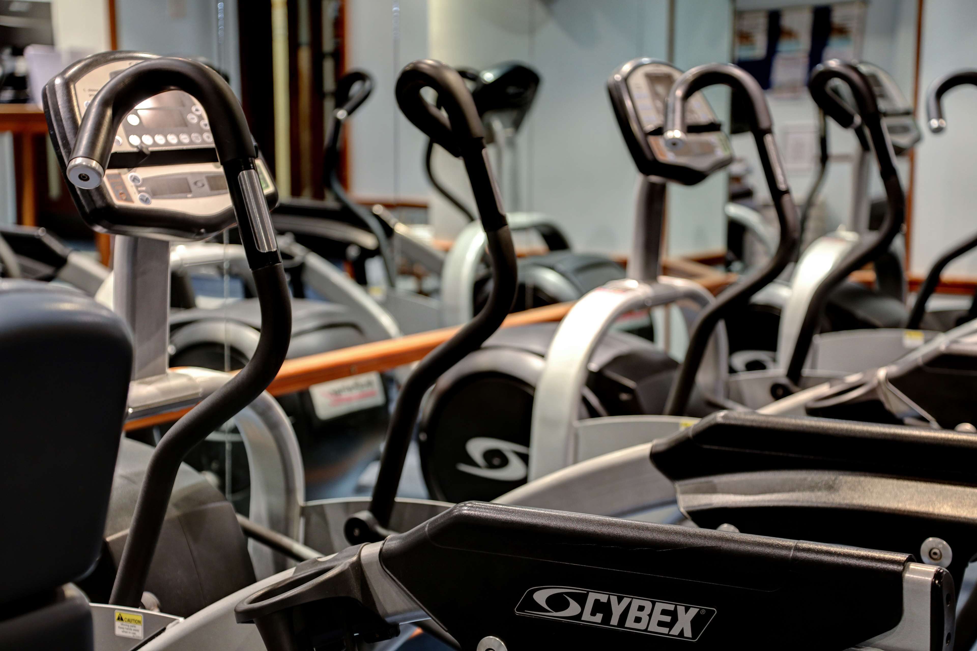 A row of stationary bikes in a gym.