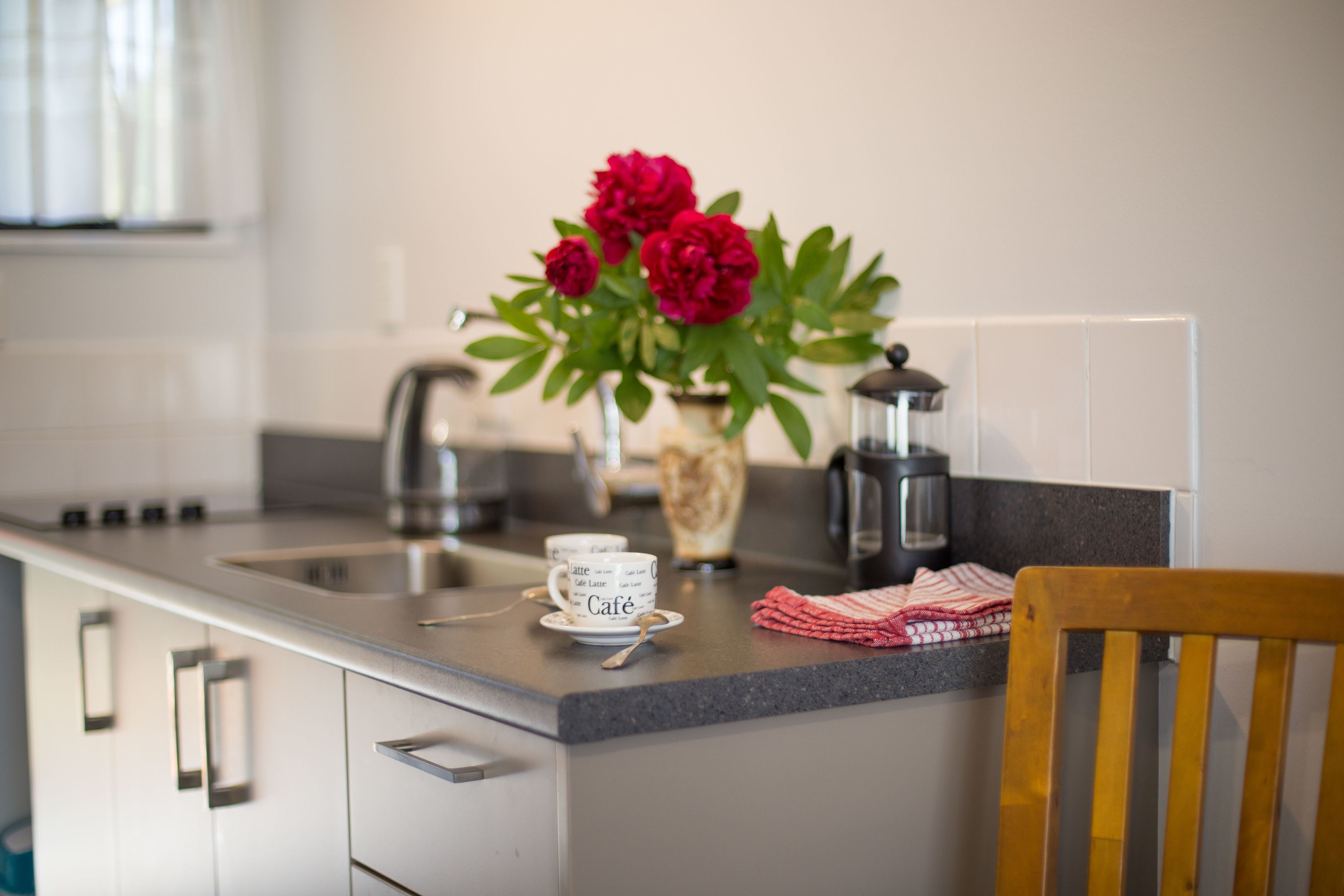 Foto - Argyle On The Park - Central Christchurch Motel Overlooking Hagley Park