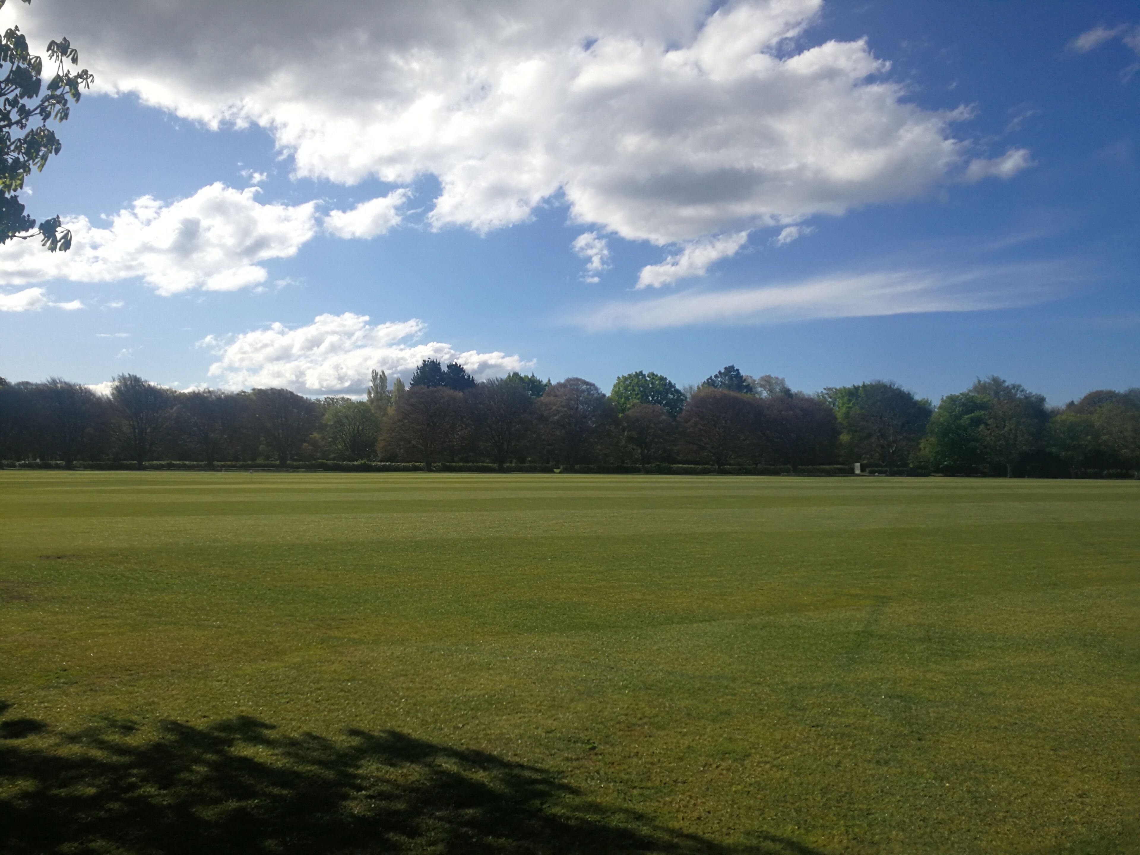 Foto - Argyle On The Park - Central Christchurch Motel Overlooking Hagley Park