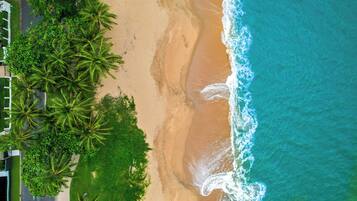 An aerial view of a beach with palm trees and a sandy shore.