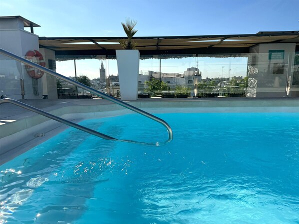Seasonal outdoor pool, pool umbrellas, sun loungers