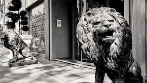 A lion statue in front of a building with a glass door and a potted plant to the left. - Hotel Charlemagne By HappyCulture  (Lyon)