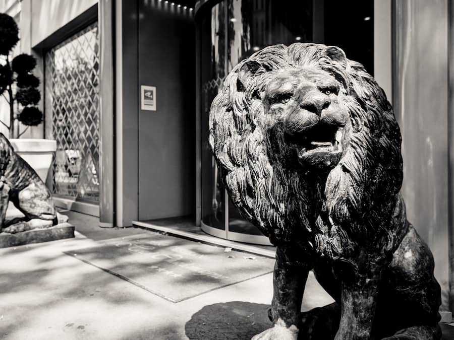 A lion statue in front of a building with a glass door and a potted plant to the left.