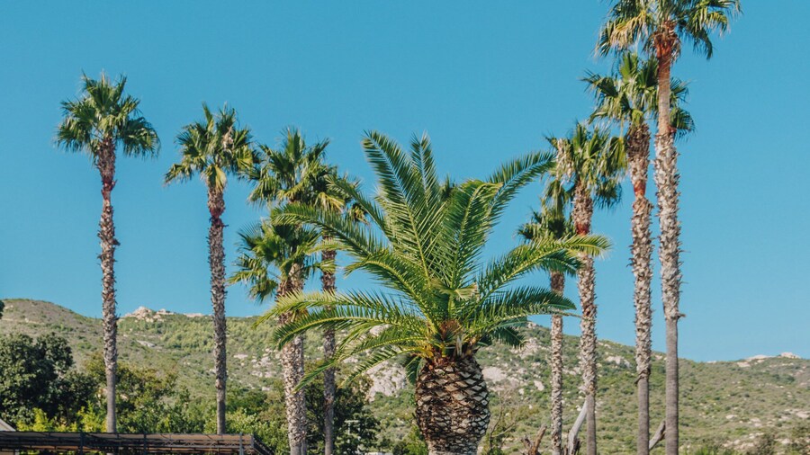 Hotel Corsica & Spa Serena