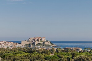 Premium bedding, down duvets, Select Comfort beds, minibar