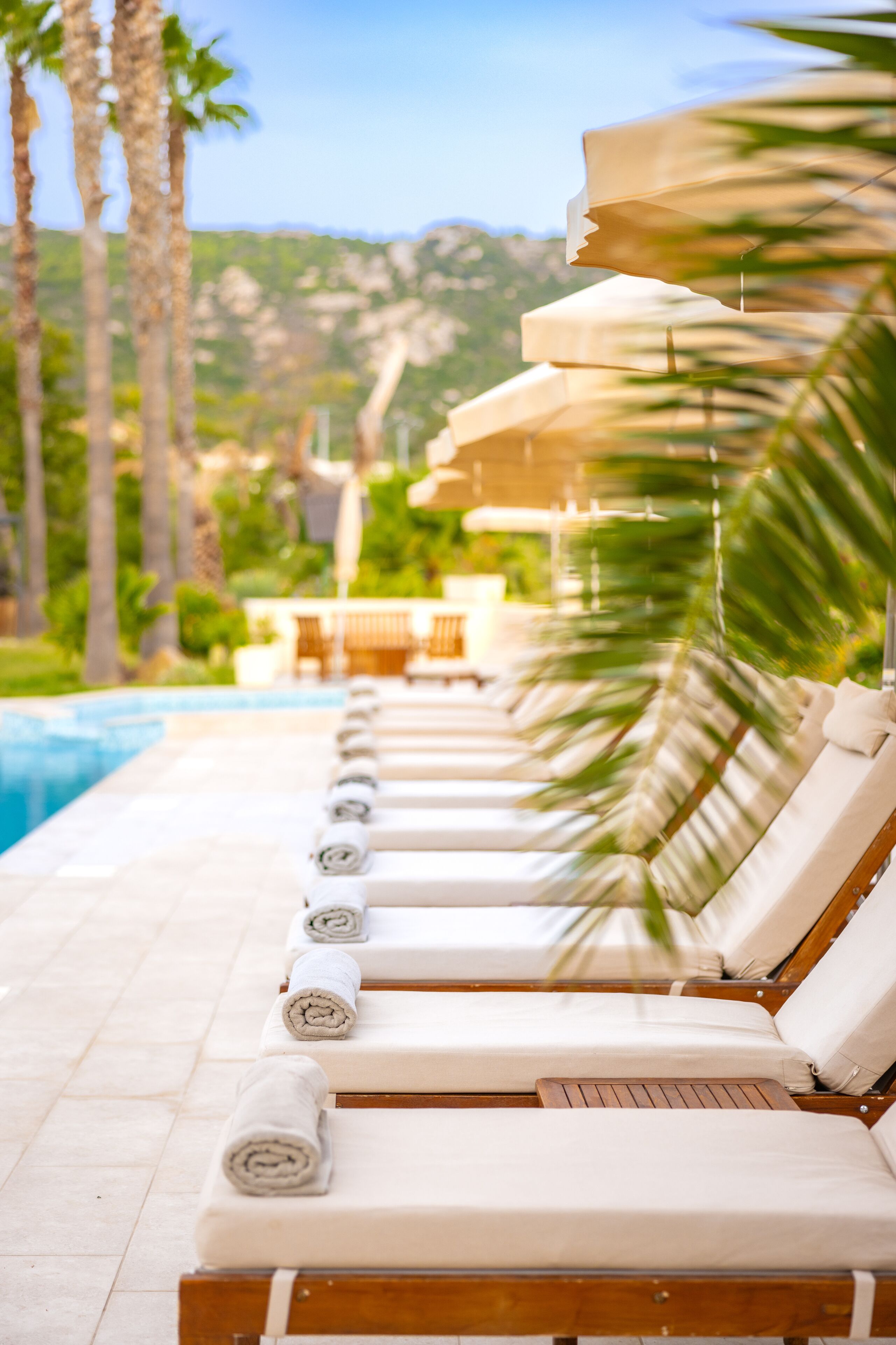 Seasonal outdoor pool, pool umbrellas, sun loungers