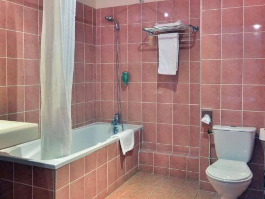 Une salle de bain avec une baignoire, une douche et des toilettes.