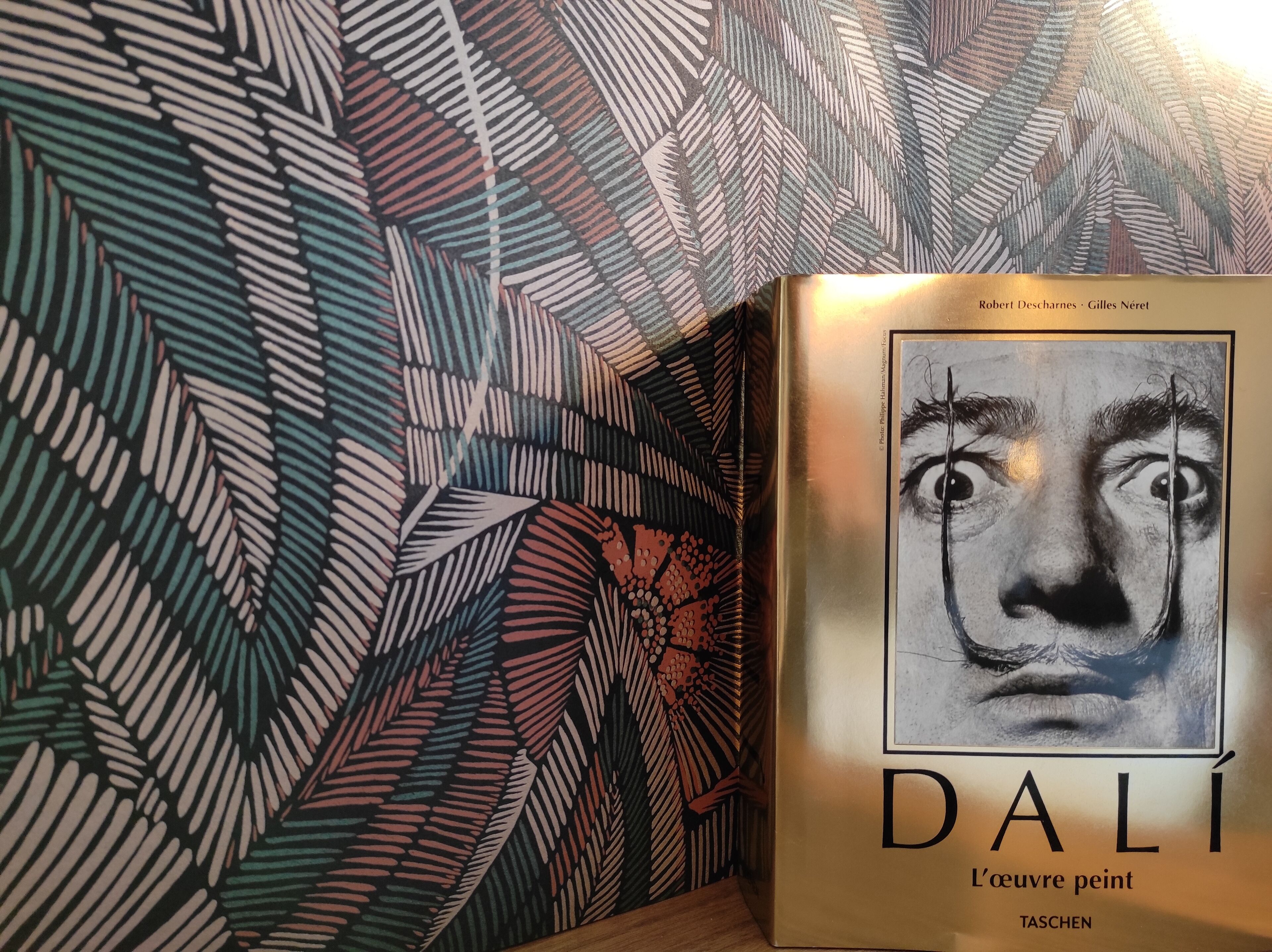A book titled 'DALÍ' with a painting of a face on the cover, placed against a patterned wall.