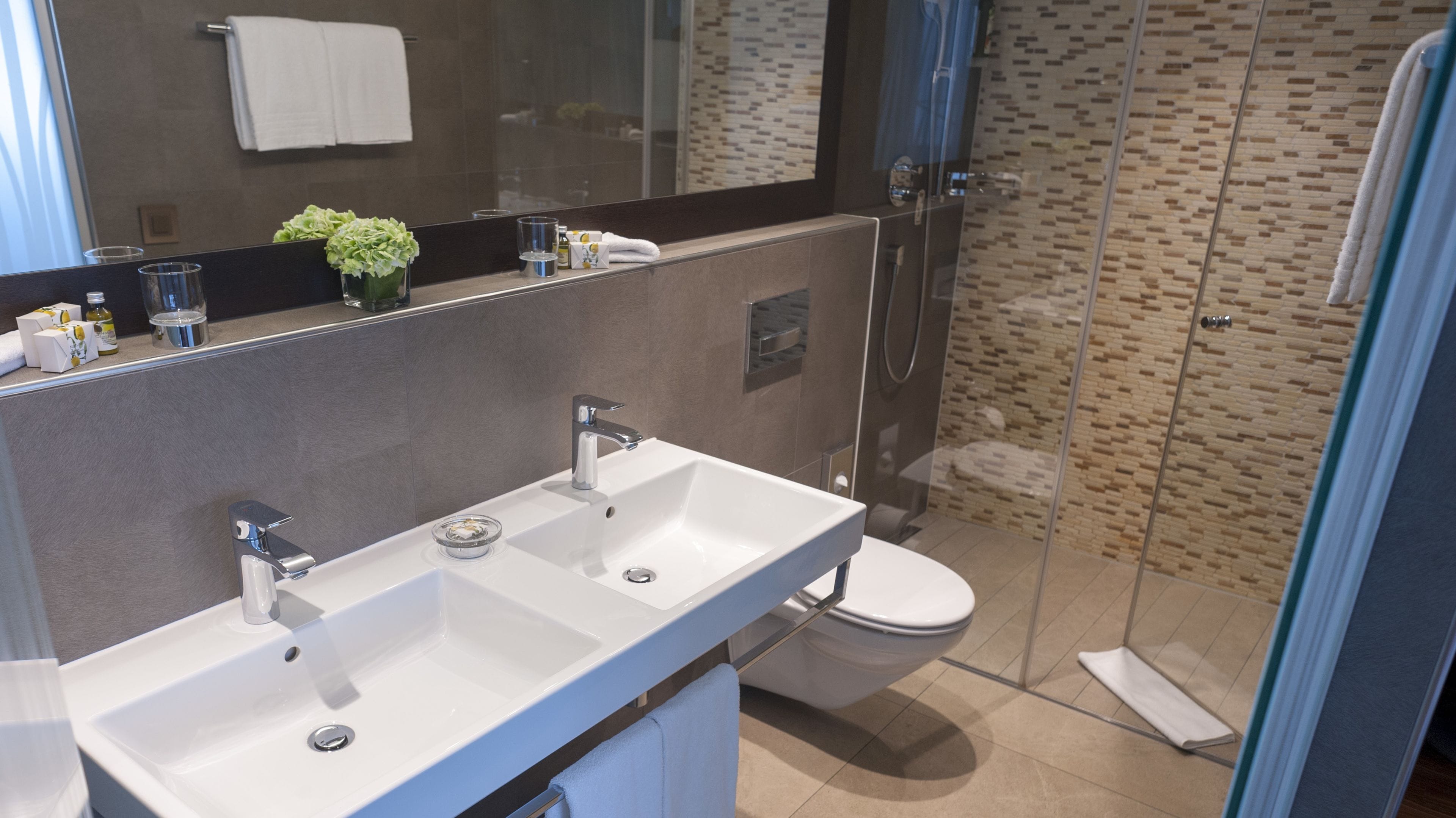 premium double room | bathroom | free toiletries, hair dryer, towels