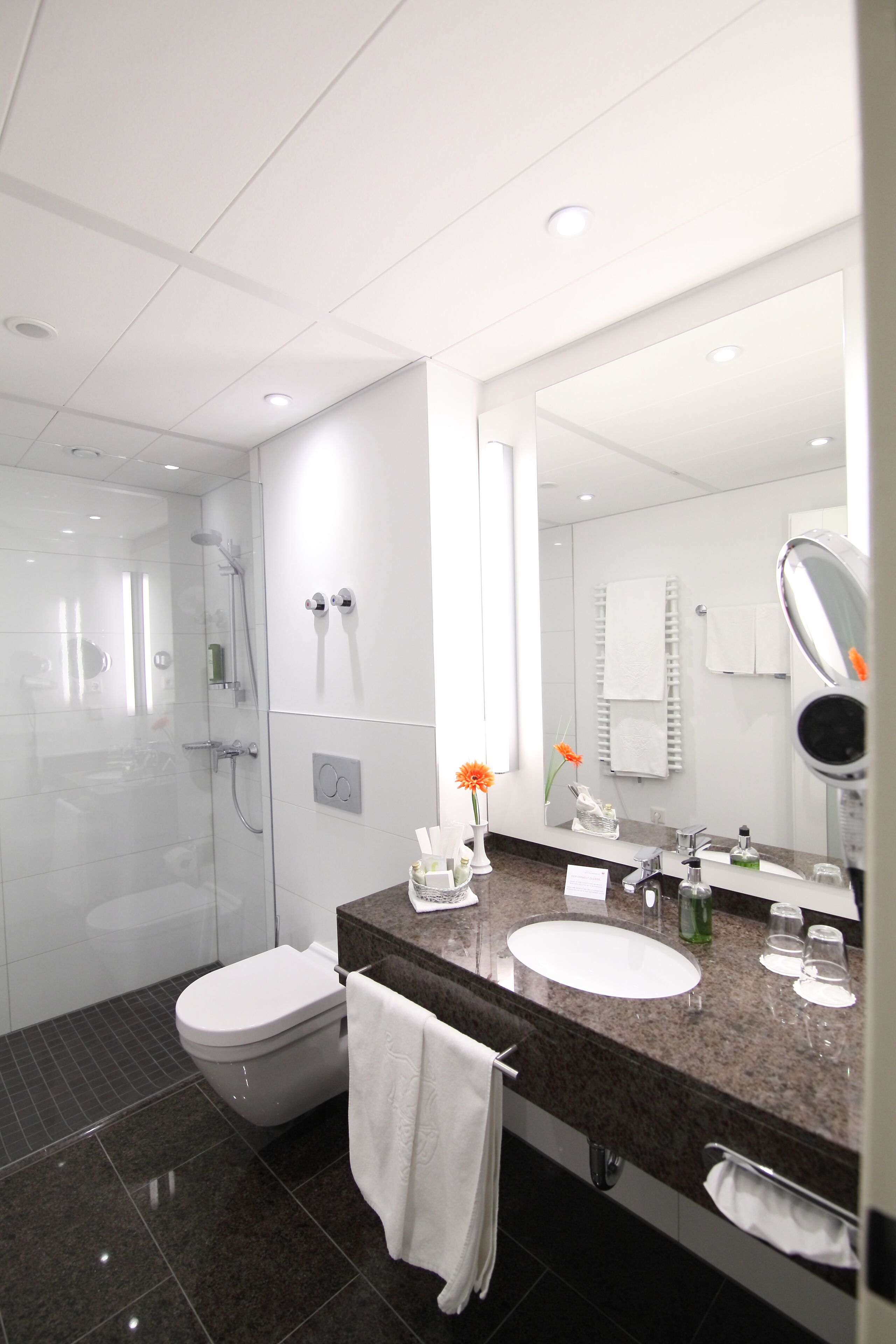 separate bathtub and shower, designer toiletries, hair dryer, bathrobes