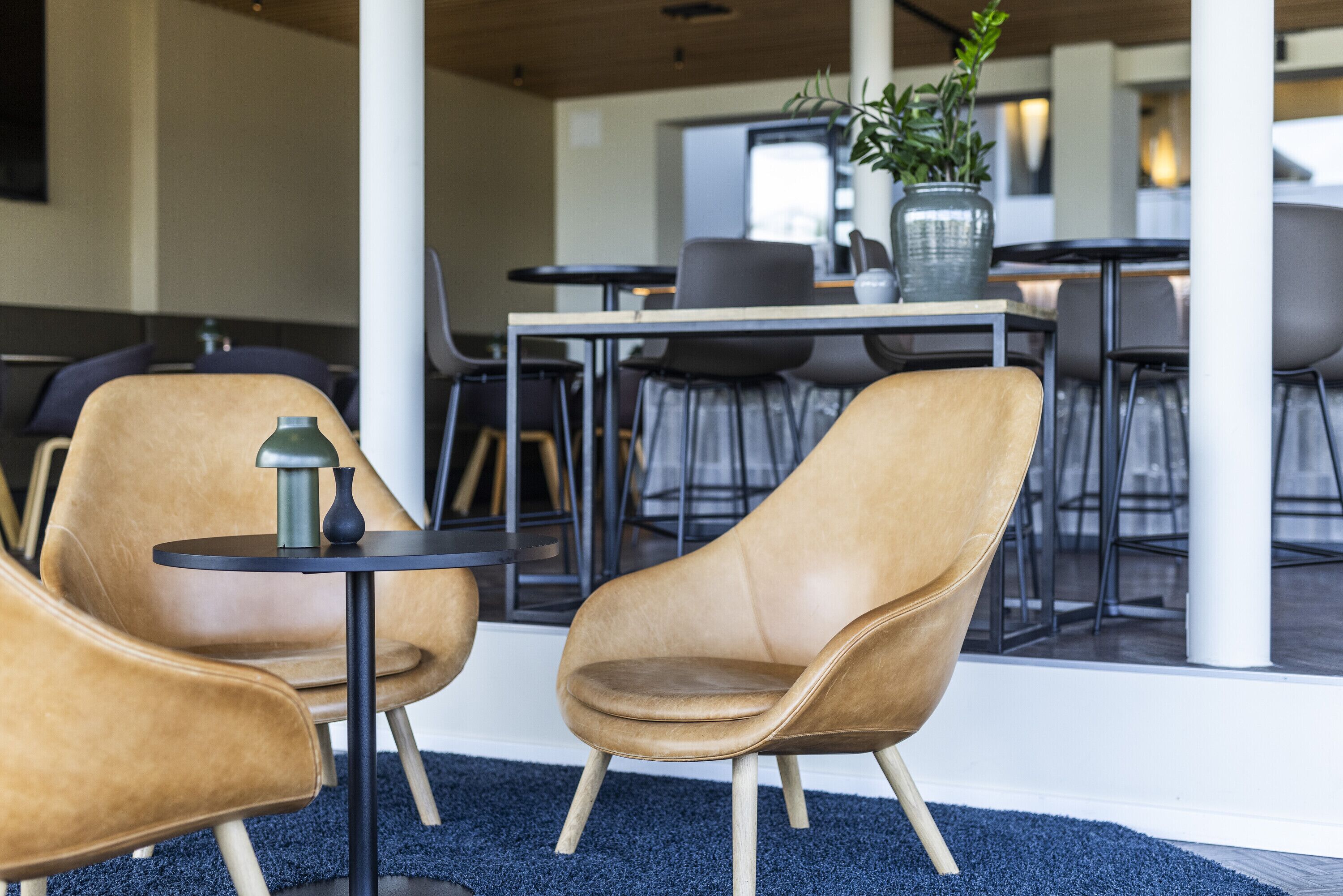 A modern indoor seating area with leather chairs, a small round table, and a potted plant.