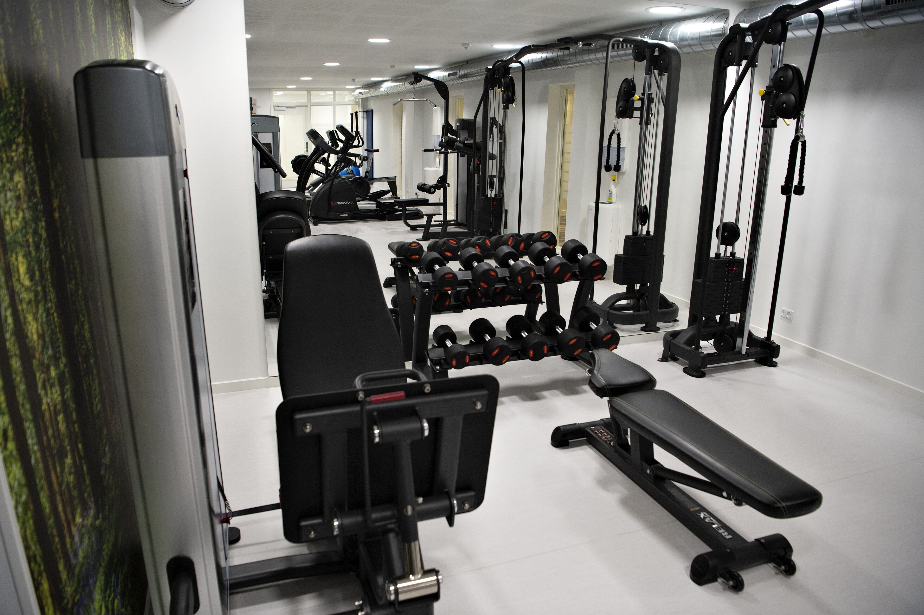 Un gimnasio con diverso equipamiento de ejercicio, incluyendo mancuernas, bancos y máquinas de pesas.