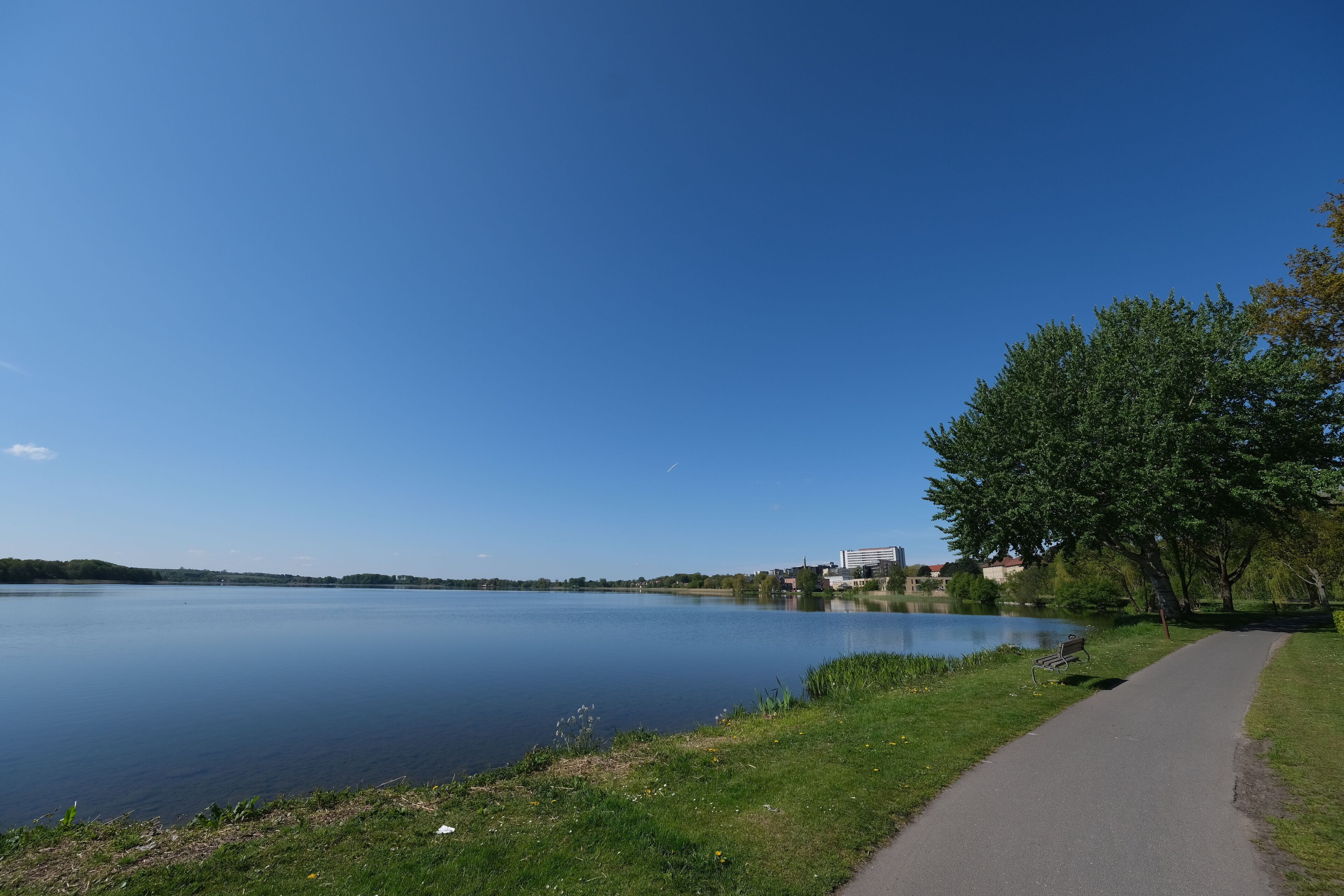A calm lake with a walking path and a bench.