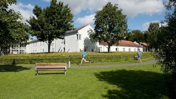 Un espace vert avec de l’herbe, un banc et un sentier.