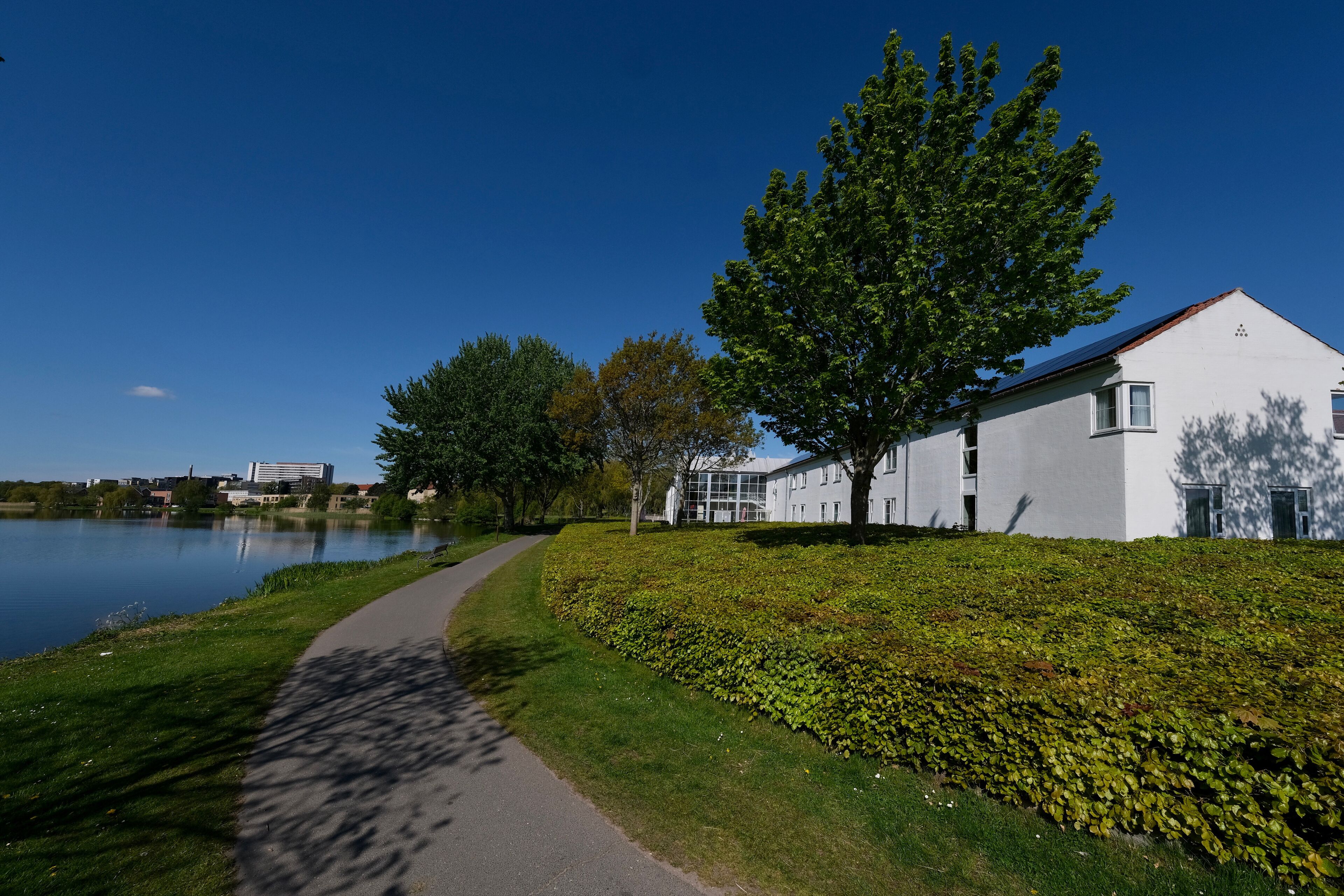 A pathway alongside a body of water, a white building with windows, and a tree.