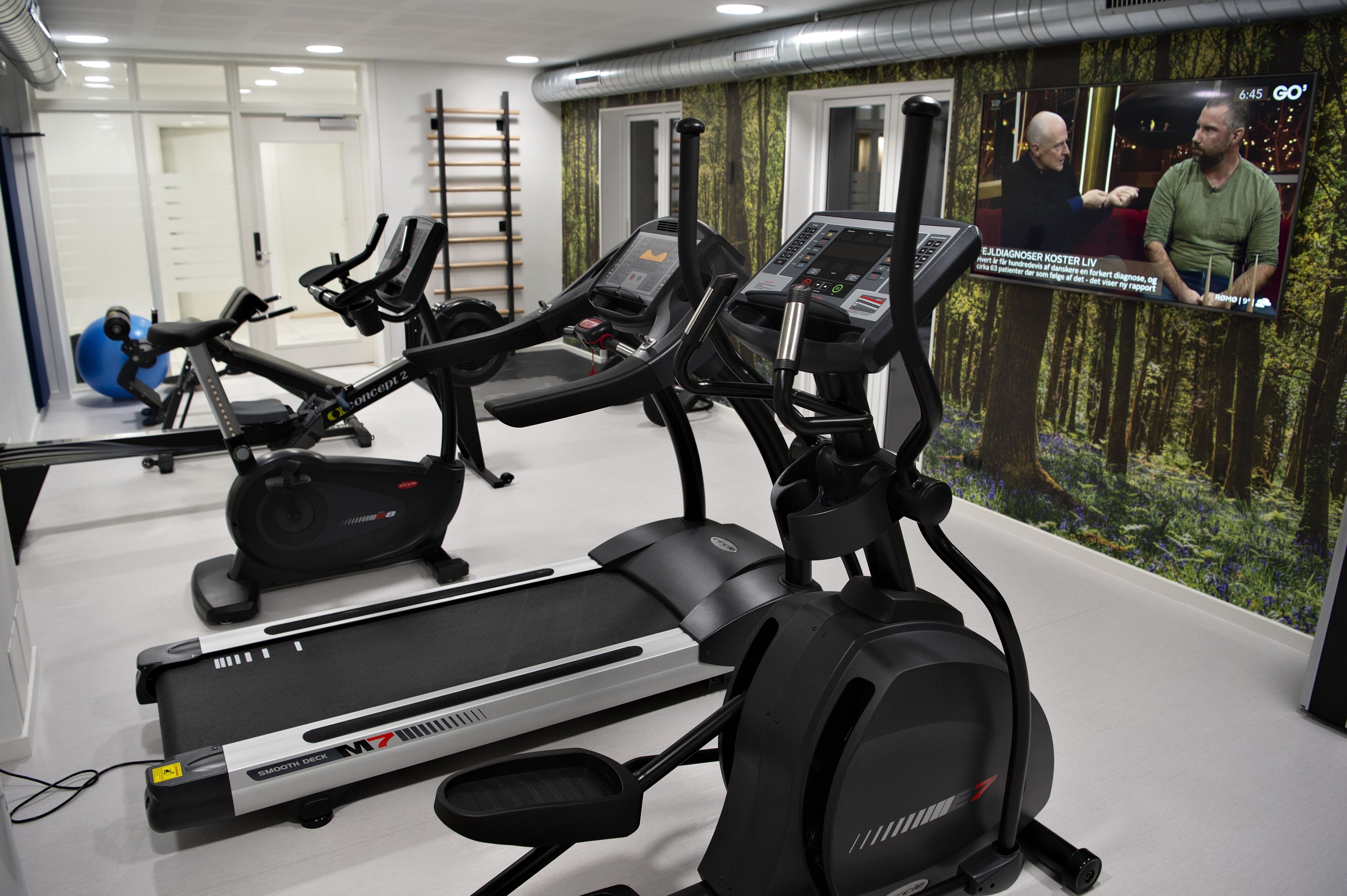 A gym with treadmills, elliptical machines, and a stationary bike. There is a TV screen displaying a news program.