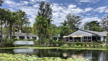 Surrounded by lush greenery and tall trees, this serene hotel features a tranquil pond with lily pads and a covered outdoor seating area.