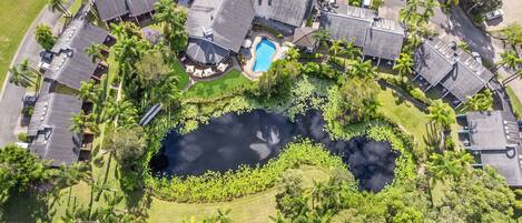 Vista aérea de um bairro residencial com várias casas, uma piscina e um lago rodeado por vegetação.