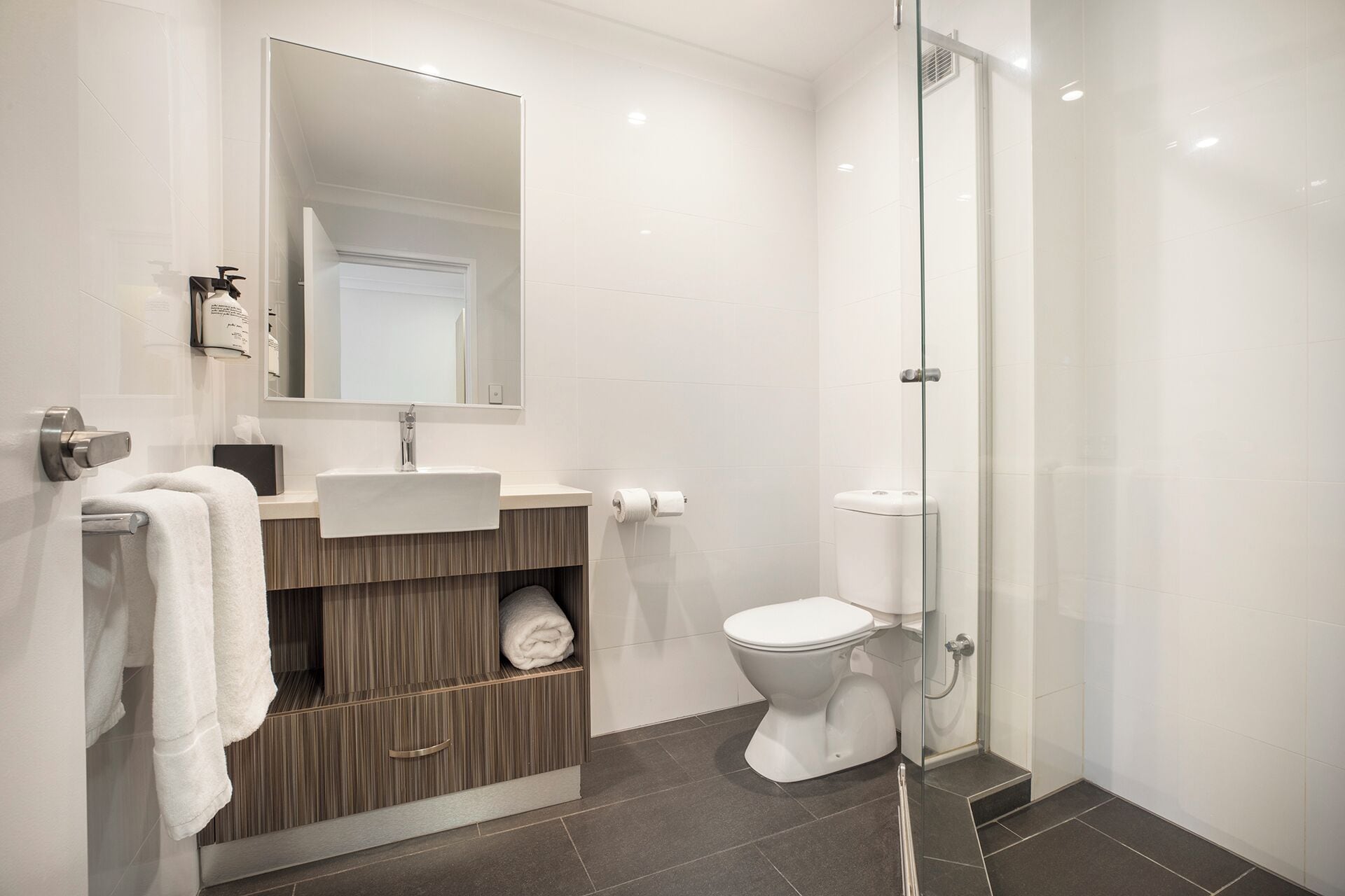 A modern bathroom with a glass shower enclosure, a white sink, and a toilet.