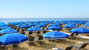 Une plage bordée de rangées de parasols bleus et de chaises de plage.
