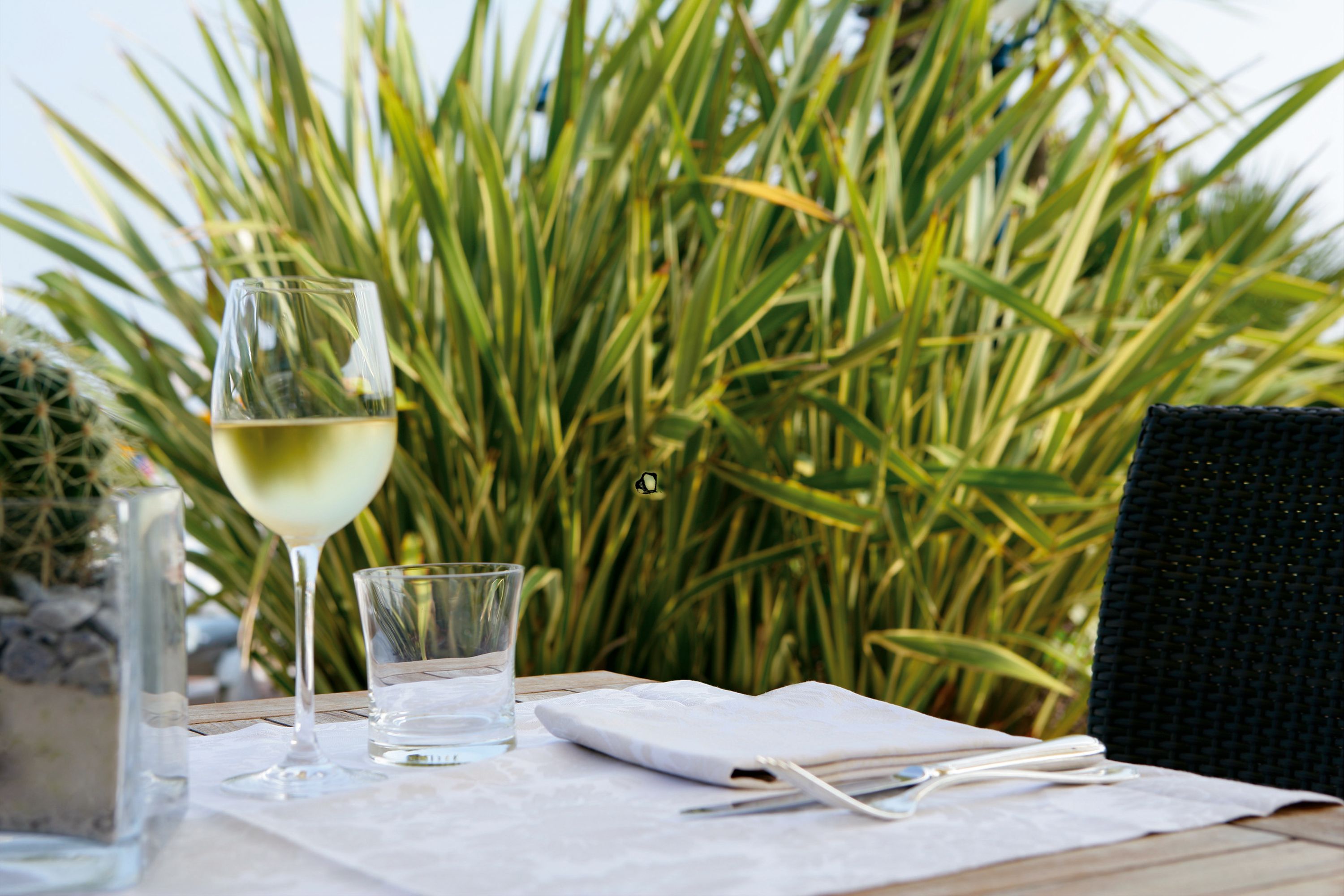 A table with a glass of white wine, a water glass, and a napkin with cutlery on a white tablecloth, set against a backdrop of green foliage.
