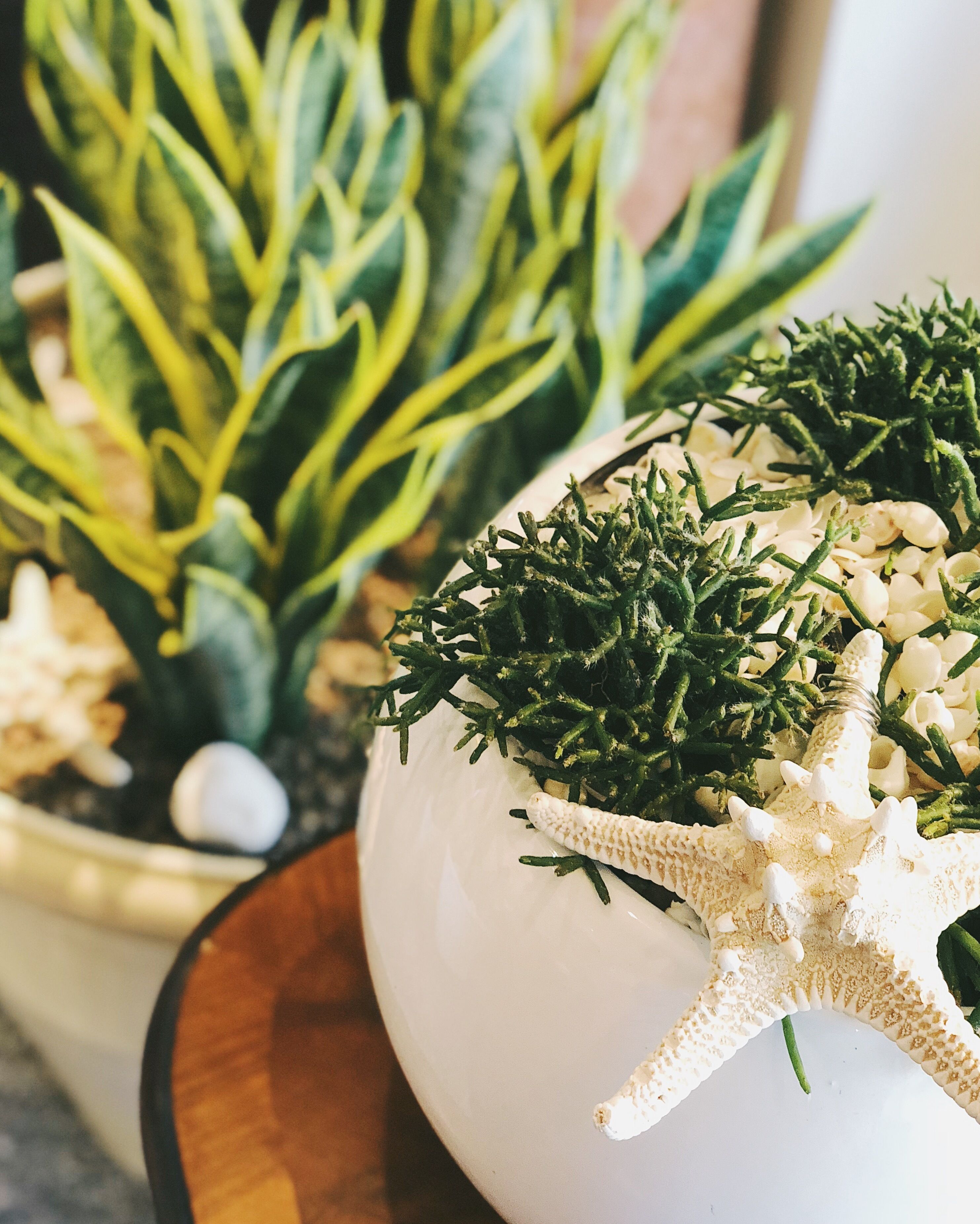 Photo - Park Hotel Brasilia