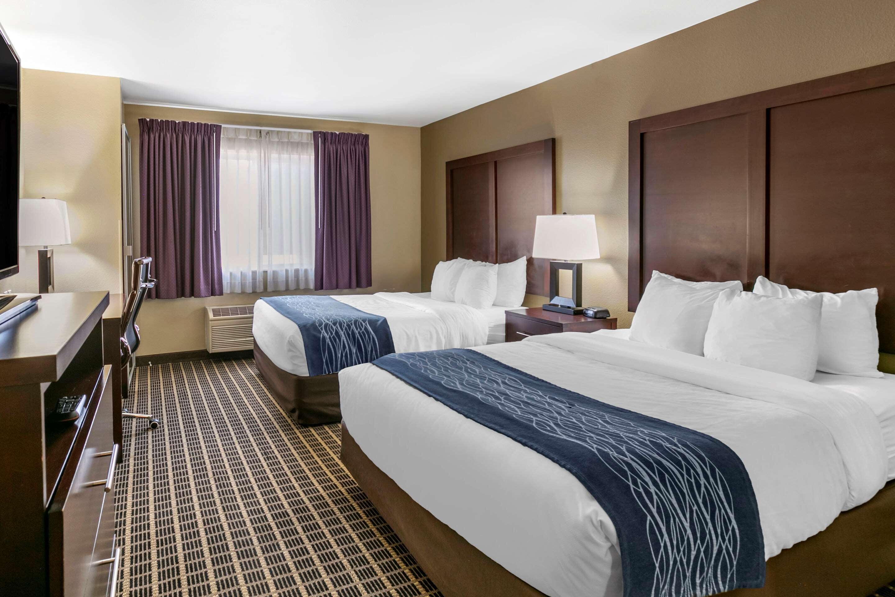 premium bedding, laptop workspace, blackout curtains, soundproofing