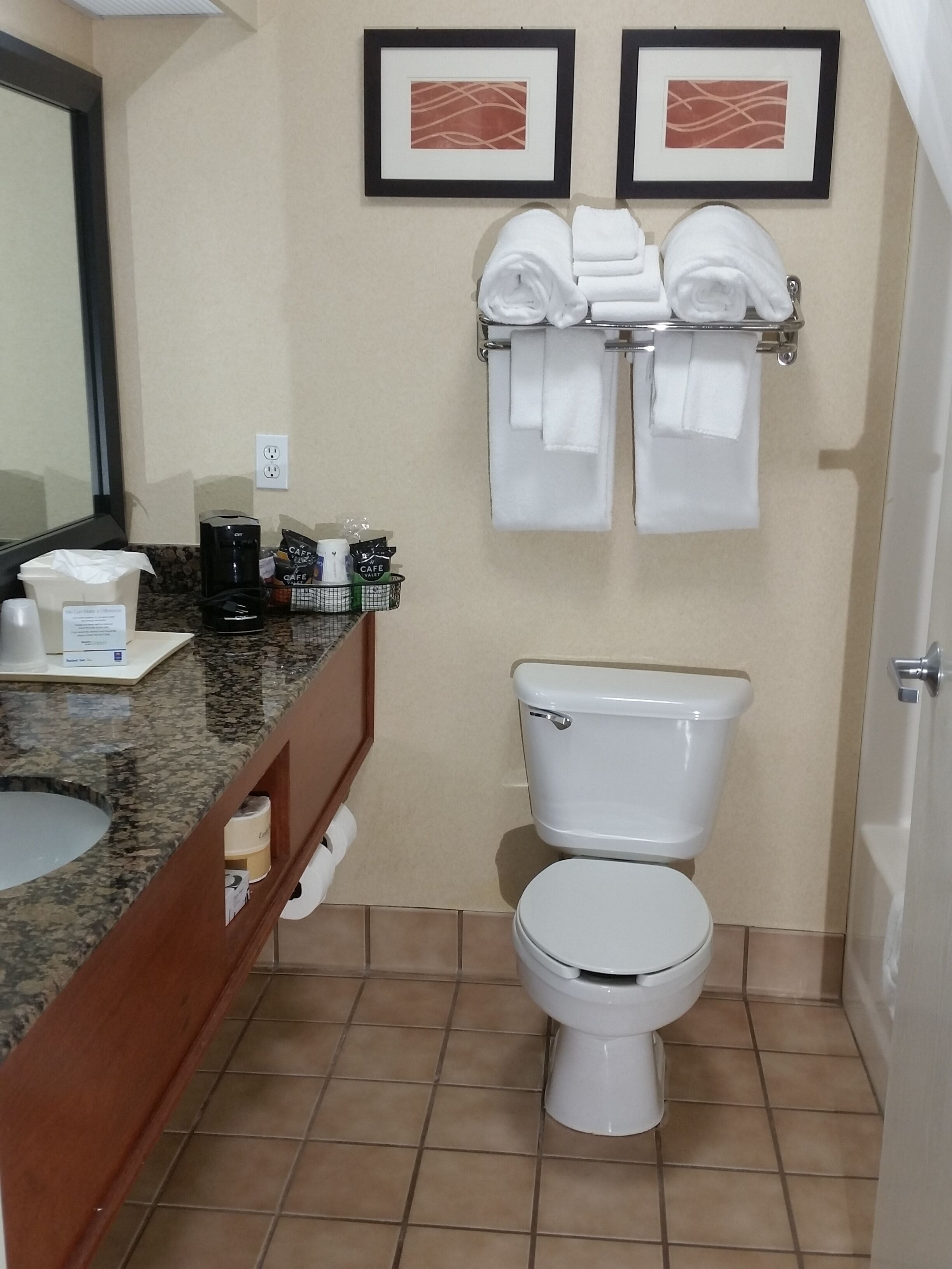 Een badkamer met toilet, een wastafel met aanrechtblad en twee ingelijste foto's aan de muur.