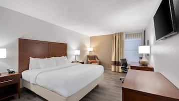 Basic Single Room, 1 Katil Raja (King), Accessible, Non Smoking | Cadar kapas Mesir, peralatan tempat tidur premium