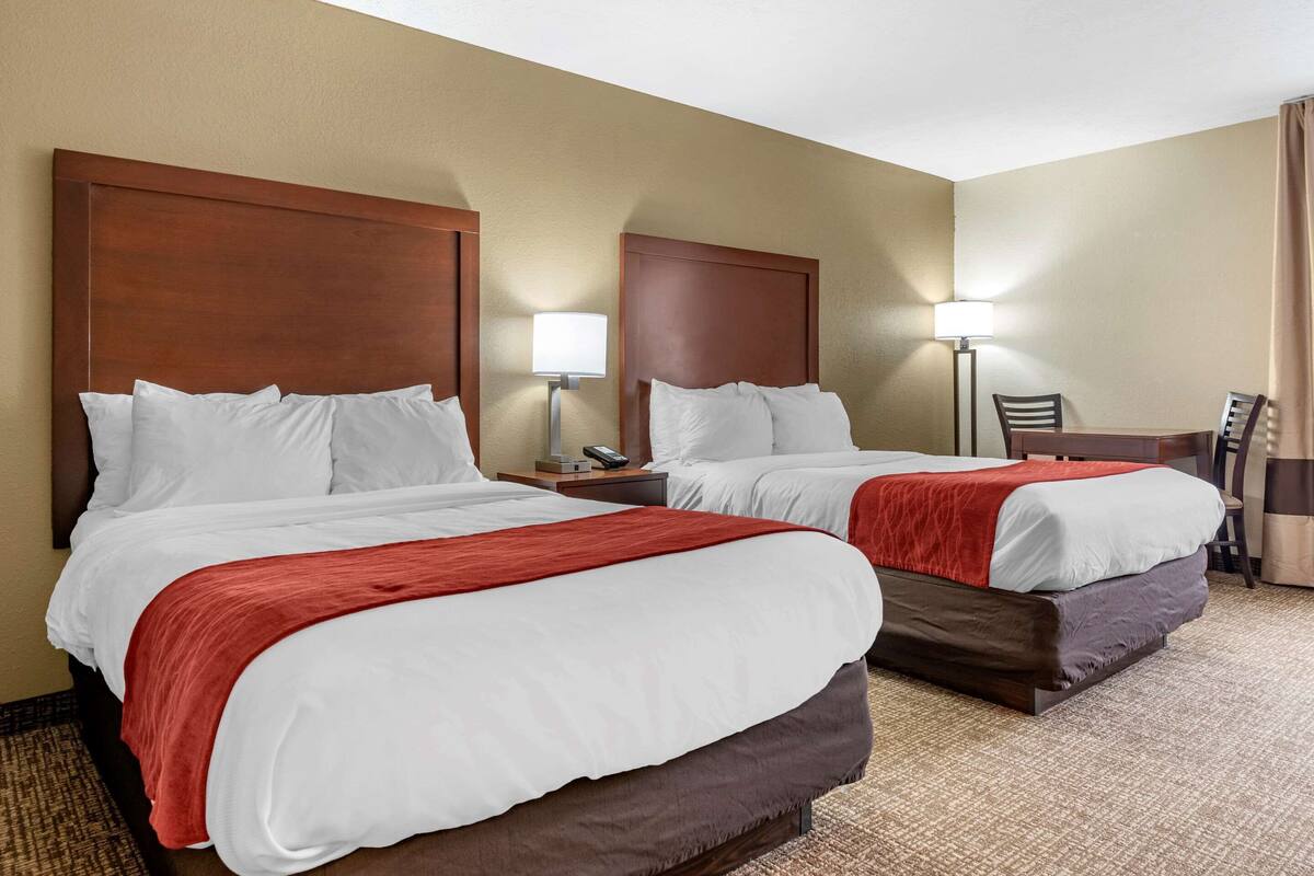 A hotel room with two beds, each with white linens and a red blanket, a desk with a chair, and a lamp on the desk.