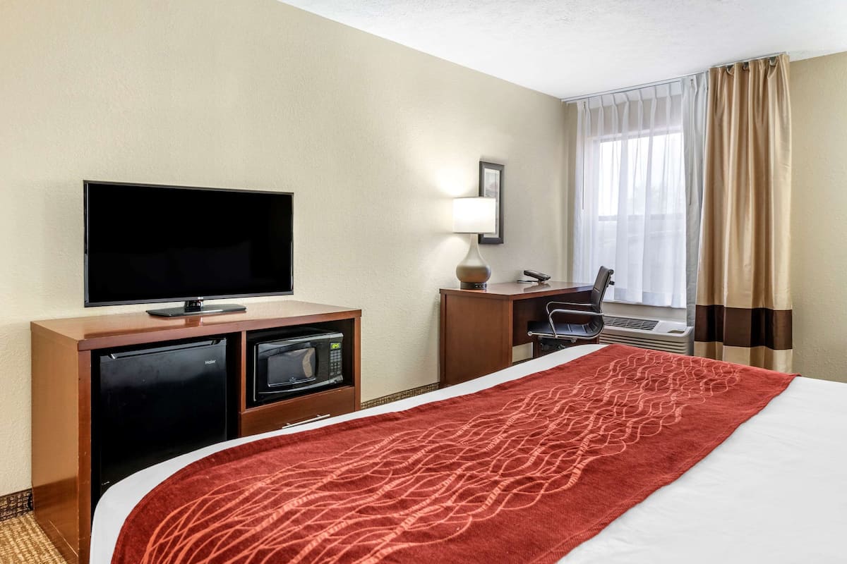 Basic Single Room, 1 Katil Raja (King), Accessible, Non Smoking | 1 bilik tidur, cadar kapas Mesir, peralatan tempat tidur premium
