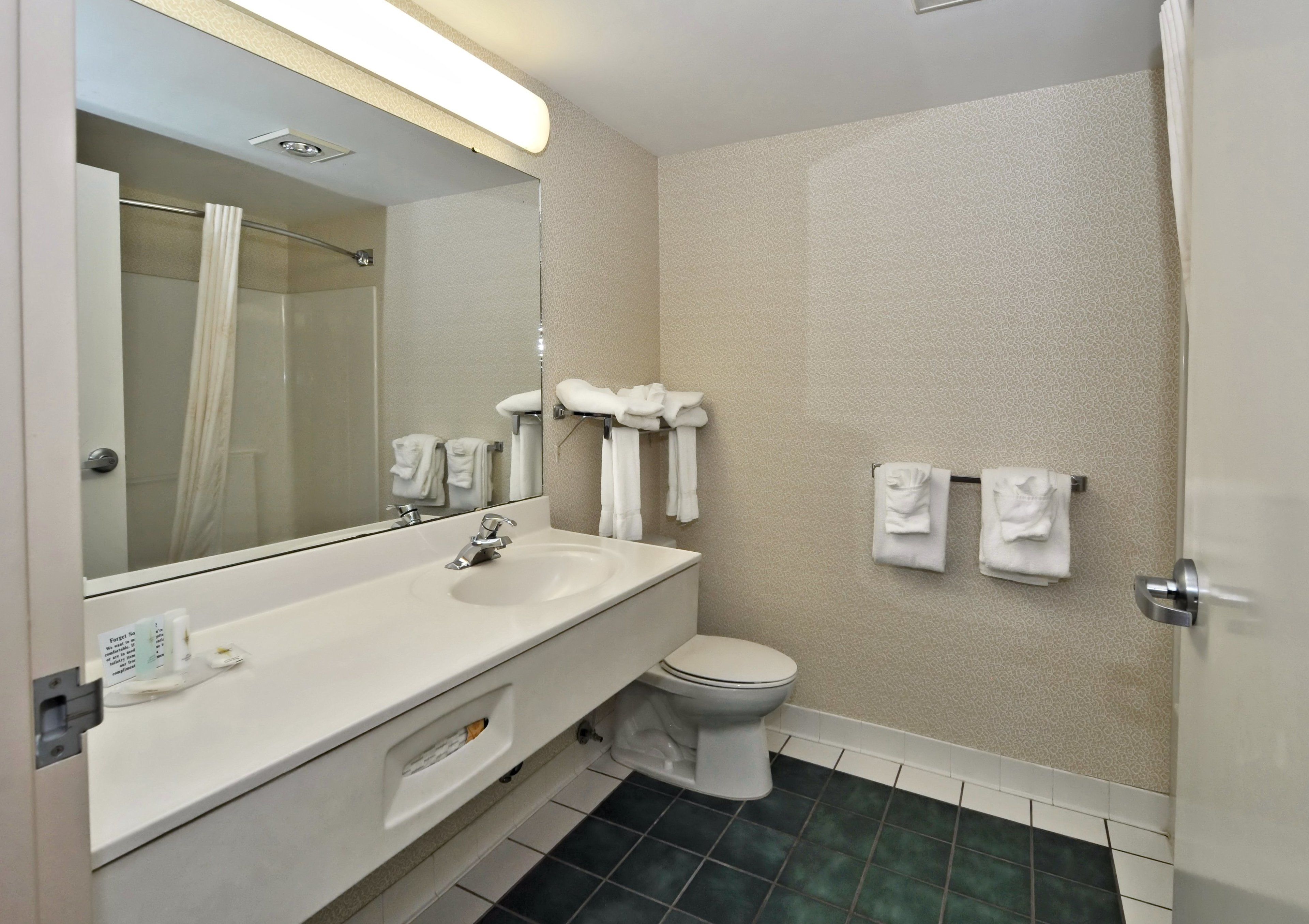 combined shower/bathtub, free toiletries, hair dryer, towels
