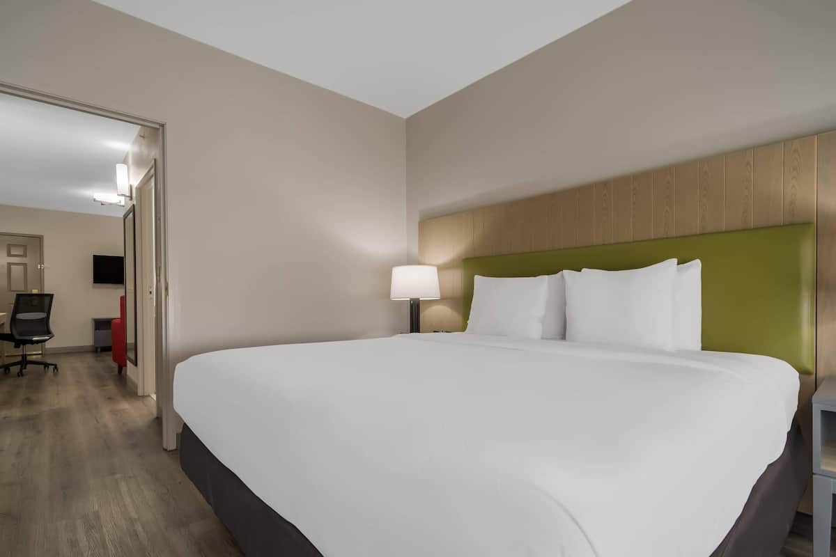 Room, 1 King Bed, Non Smoking