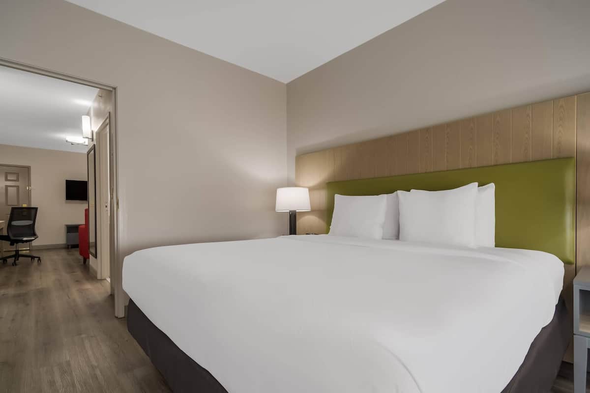 Chambre, 1 très grand lit, non-fumeur | 1 chambre, bureau, fer et planche à repasser, lit de bébé (gratuit)