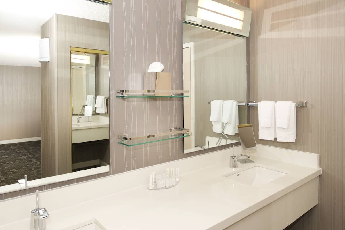 combined shower/bathtub, free toiletries, hair dryer, towels