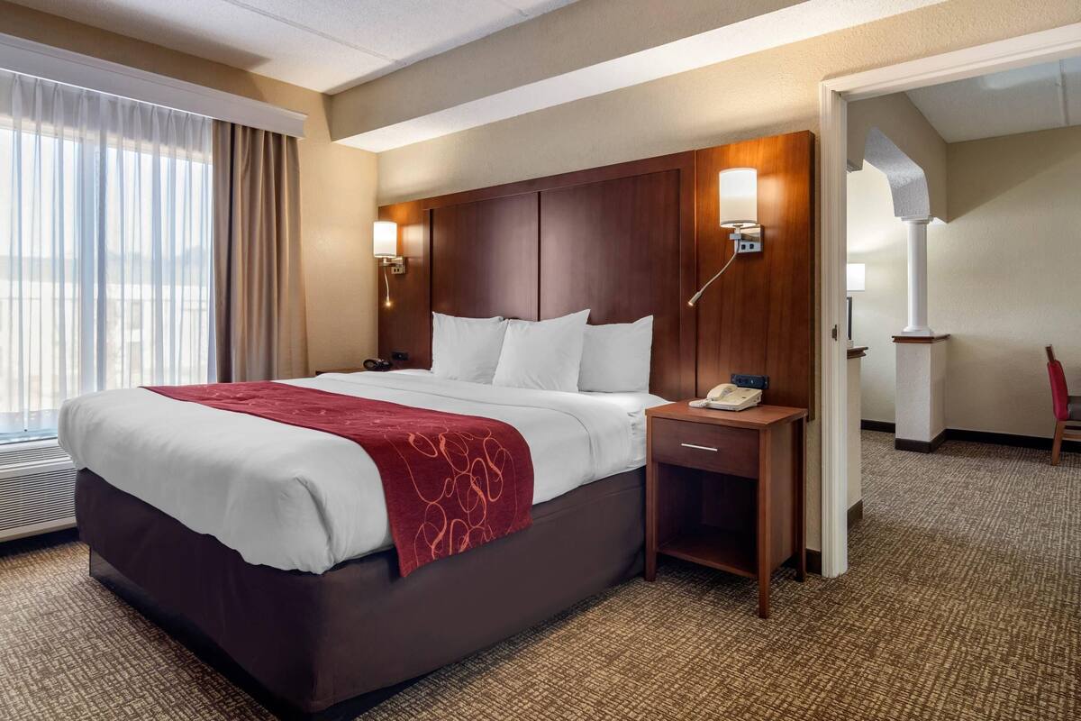 A hotel room with a large bed, bedside table, lamp, and a view of the city through the window.