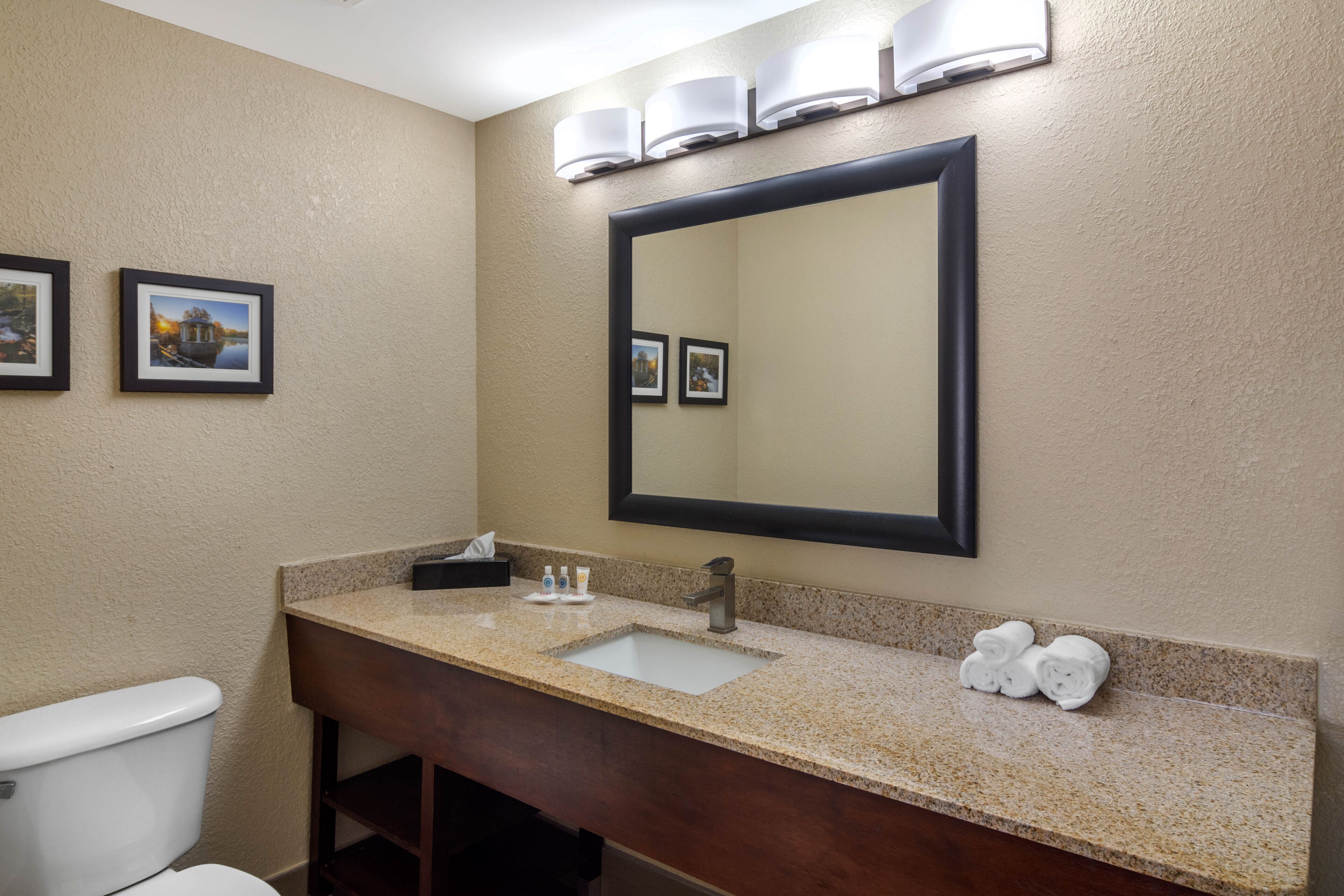 suite, 1 king bed with sofa bed, non smoking (with wetbar) | bathroom | combined shower/bathtub, free toiletries, hair dryer, towels