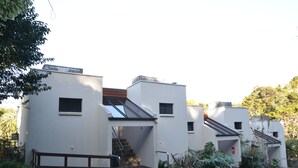Een modern gebouw met een plat dak, een trap naar een ingang en een kleine tuin met planten.