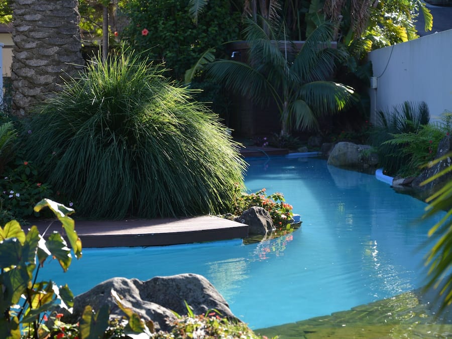 Una piscina al aire libre, sillones reclinables de piscina