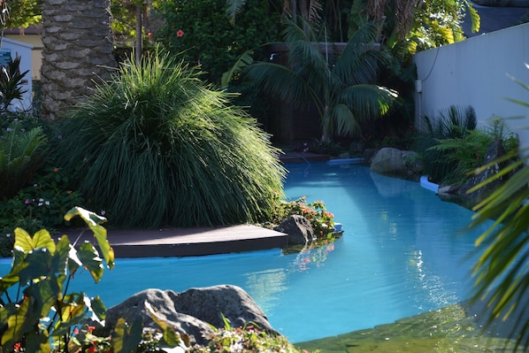 Una piscina al aire libre, sillones reclinables de piscina