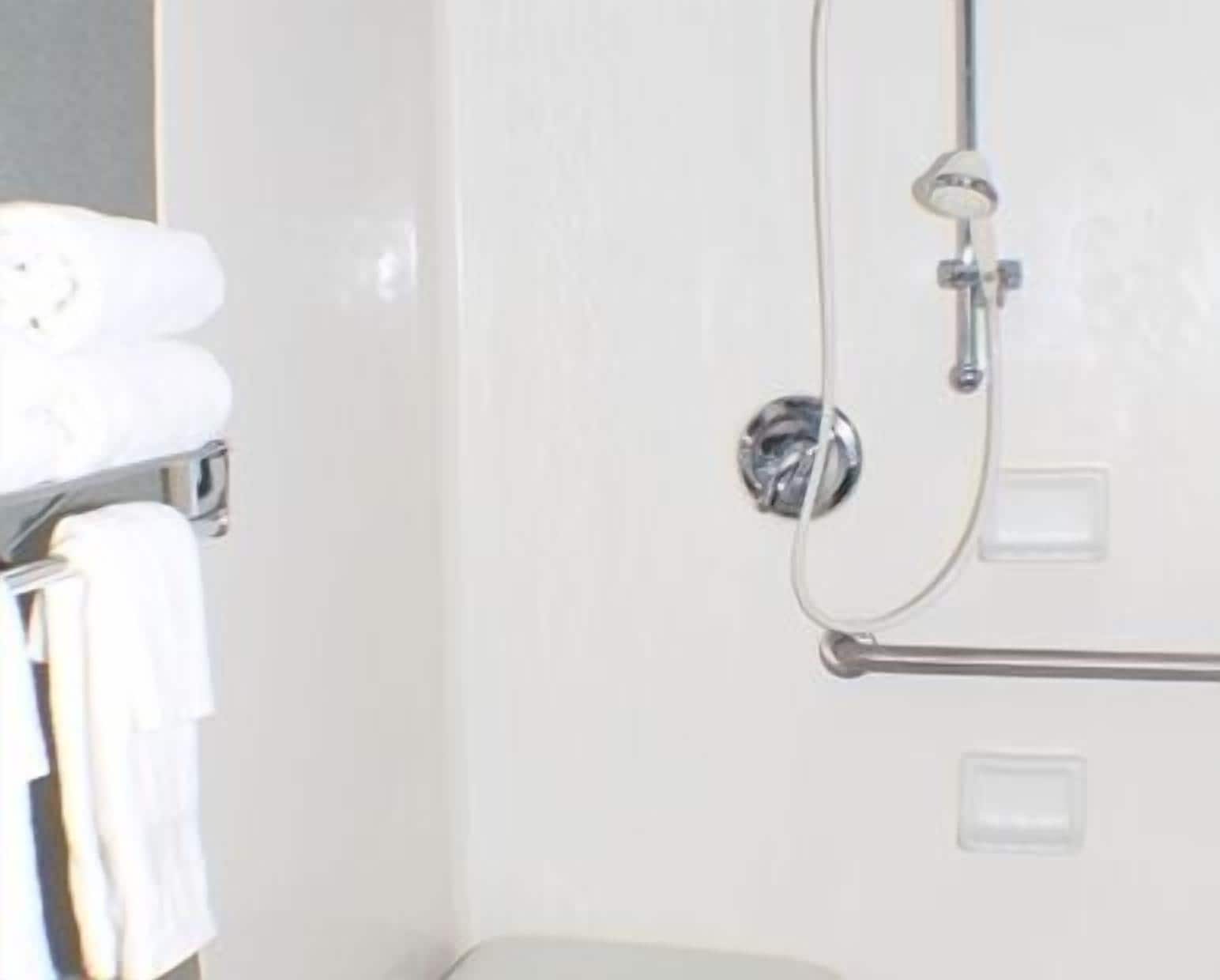 room, 1 king bed, accessible, non smoking (roll-in shower) | bathroom | towels