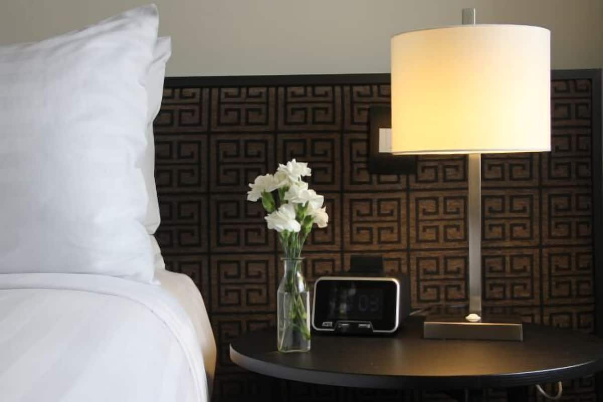 In-room safe, desk, iron/ironing board, WiFi (free)