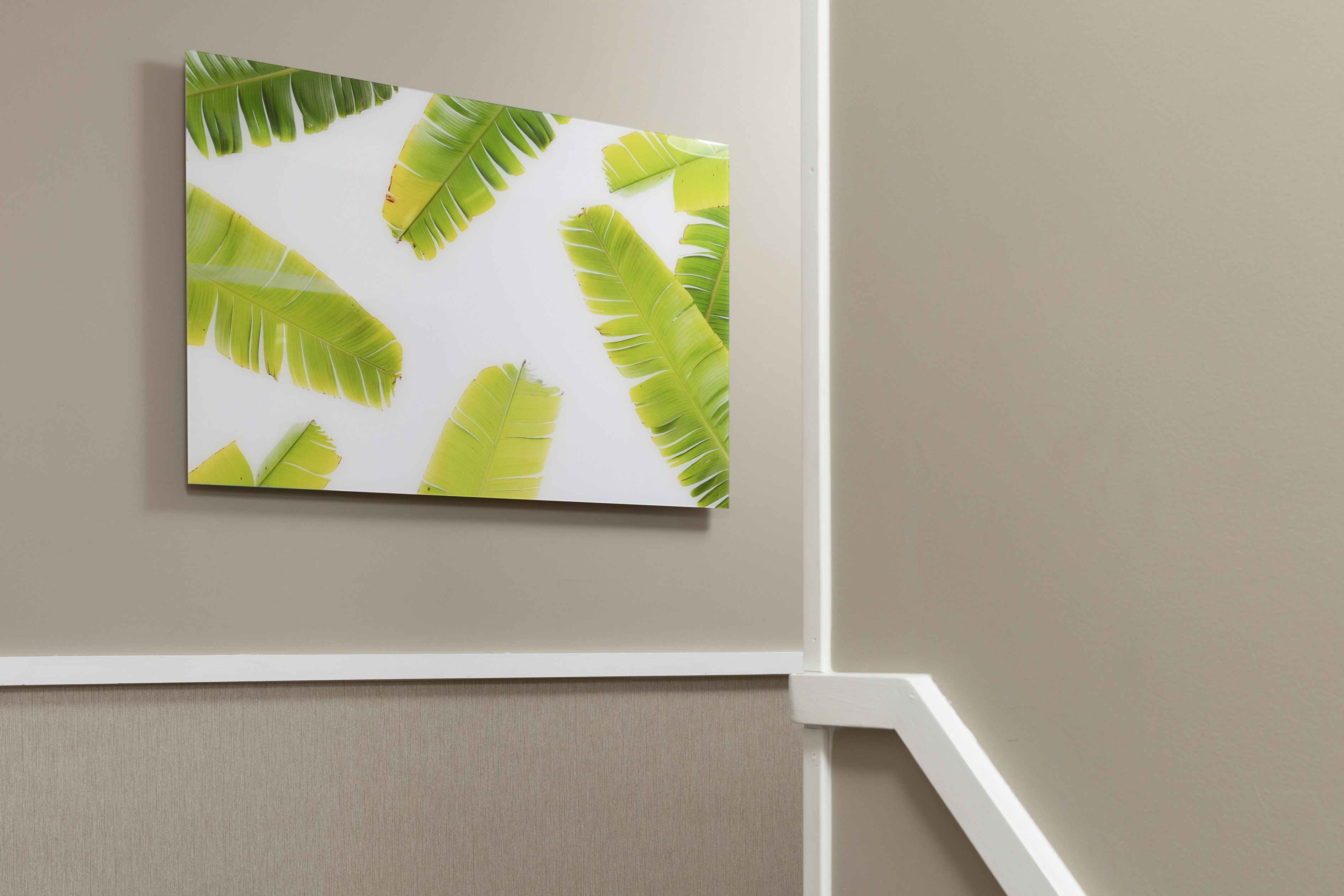 A wall with a framed artwork of green leaves.