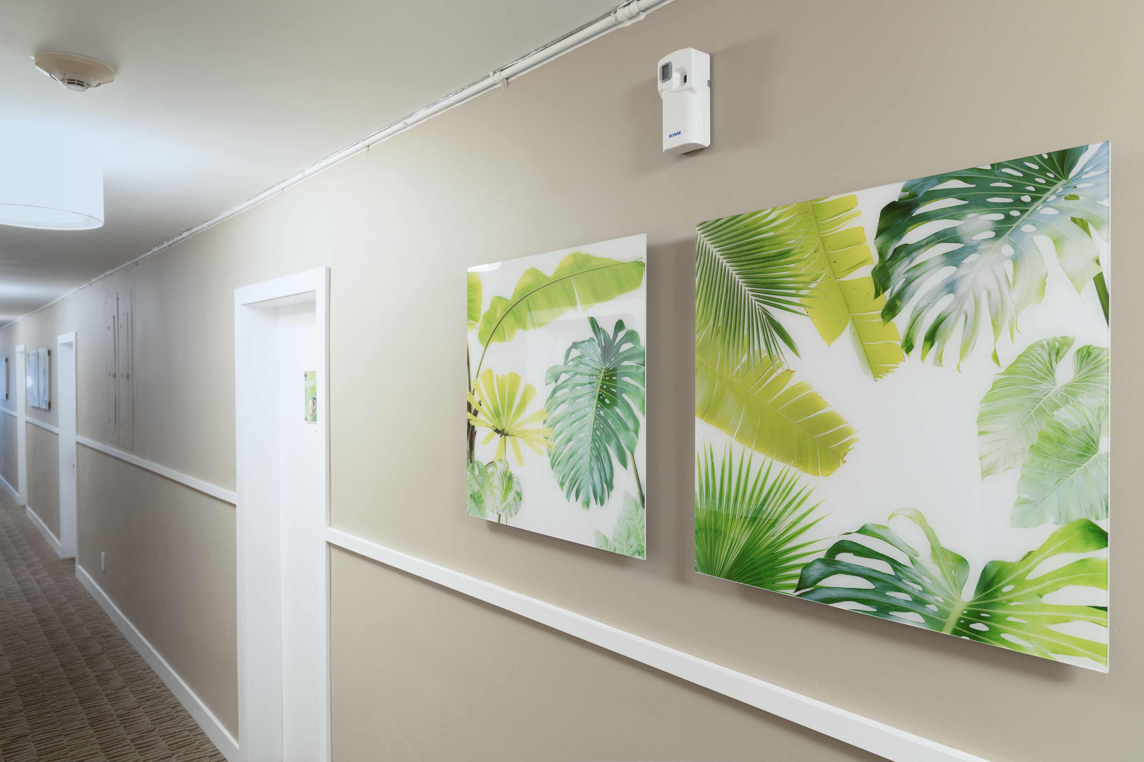 A hallway with two large tropical leaf-patterned wall art pieces.