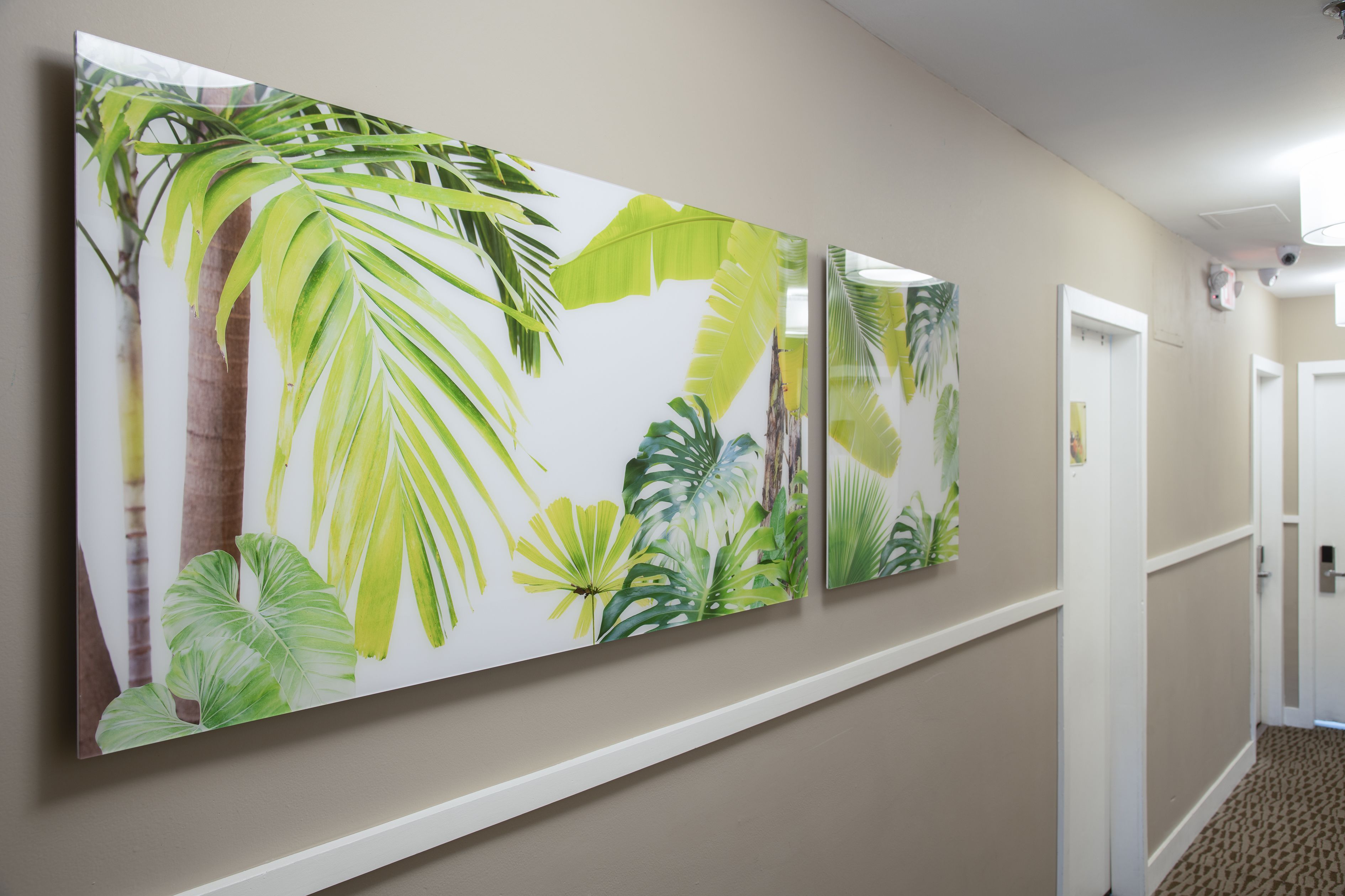A hallway with a large botanical print on the wall, a white door, and a patterned carpet.