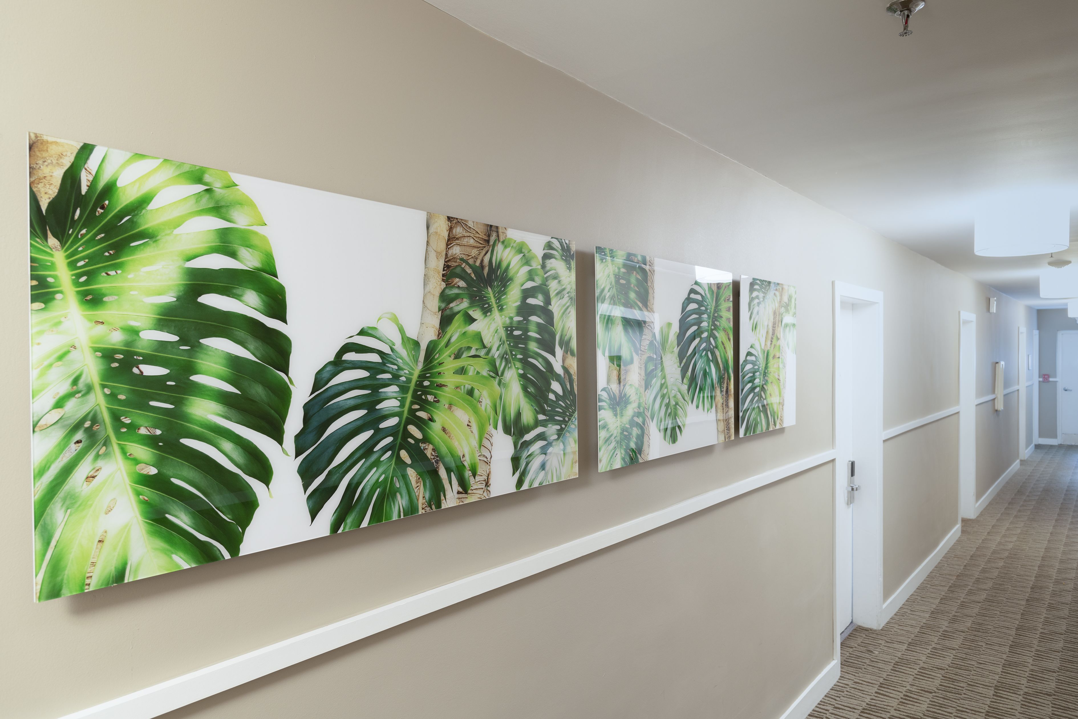 Un pasillo decorado con varias pinturas de hojas tropicales.