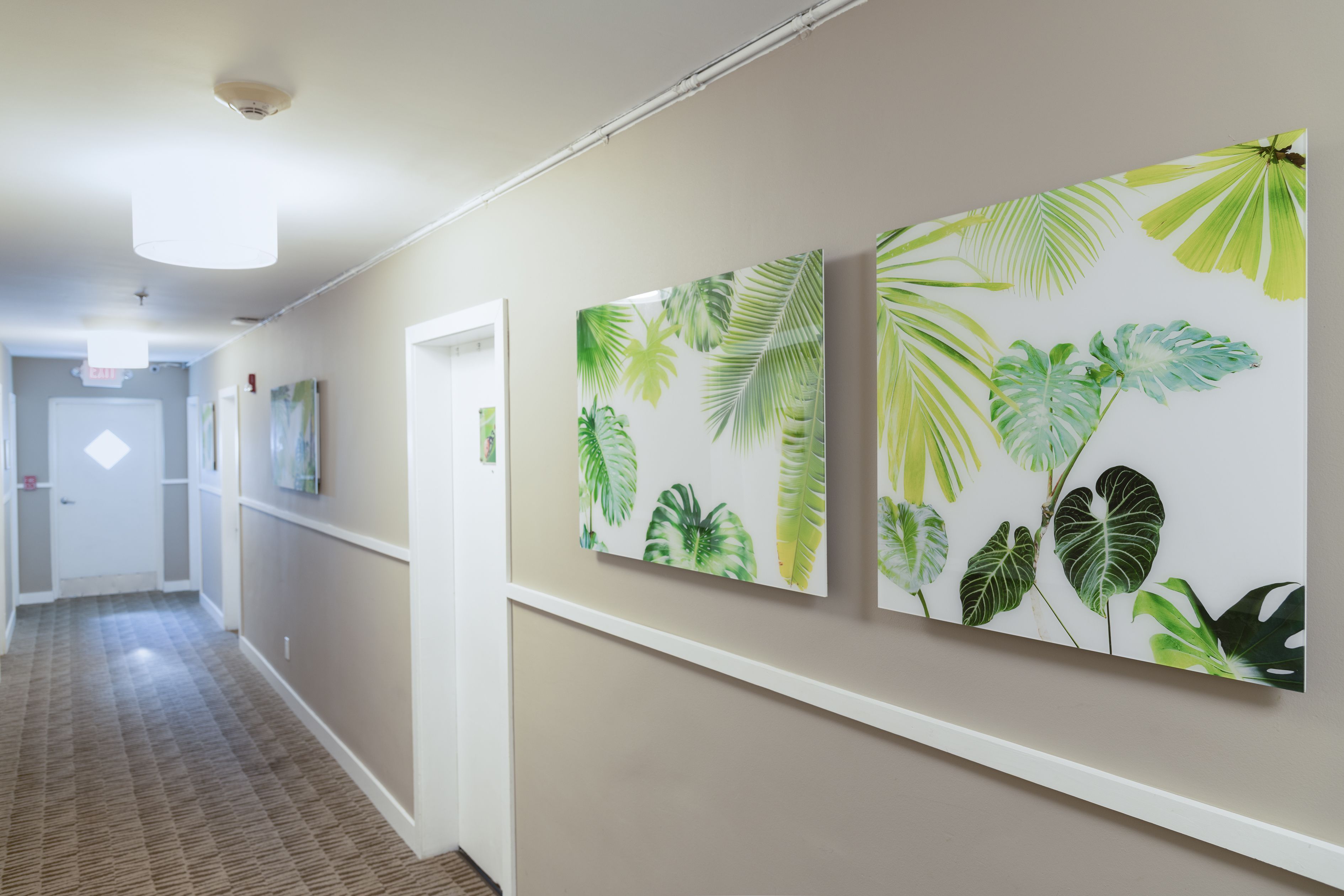 A hallway with a carpeted floor, a white door at the end, and three wall-mounted artworks featuring tropical leaves.
