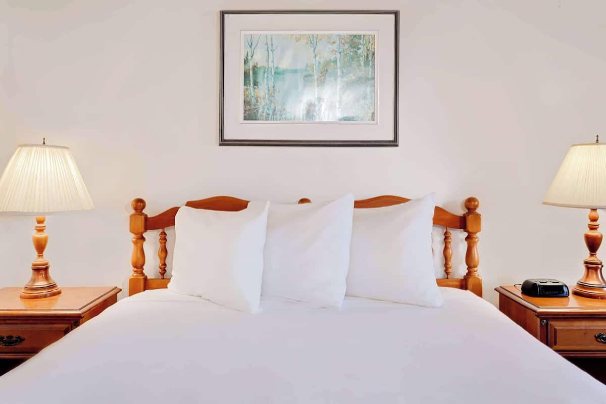 Chambre Standard, 1 grand lit