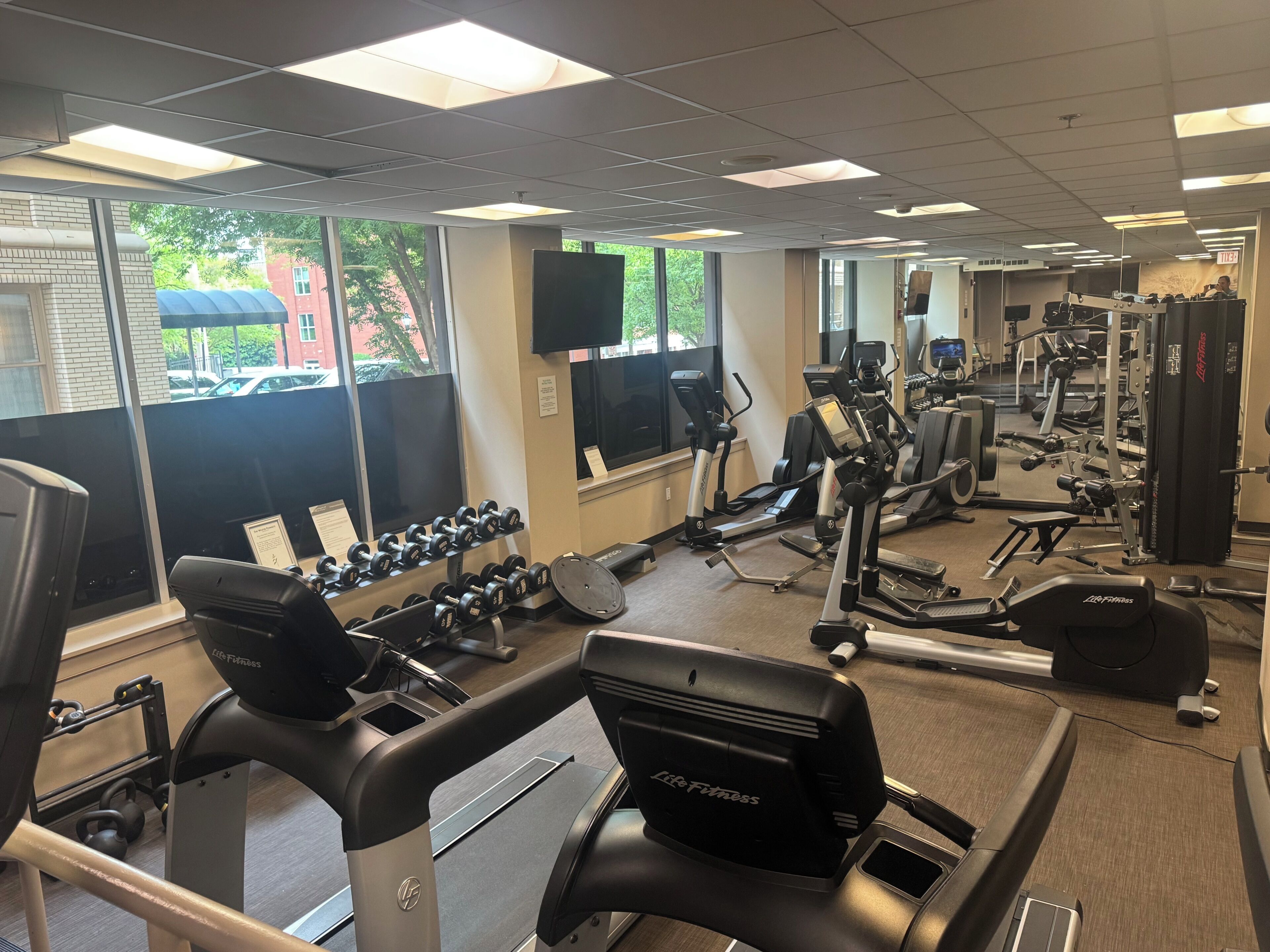 A gym with treadmills, dumbbells, and weight machines.